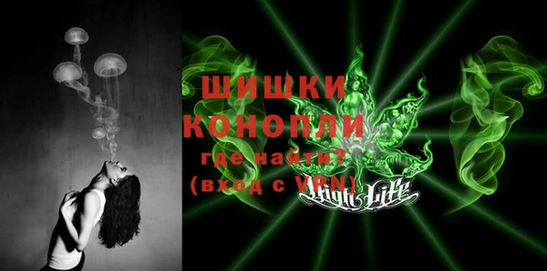 дживик Березники