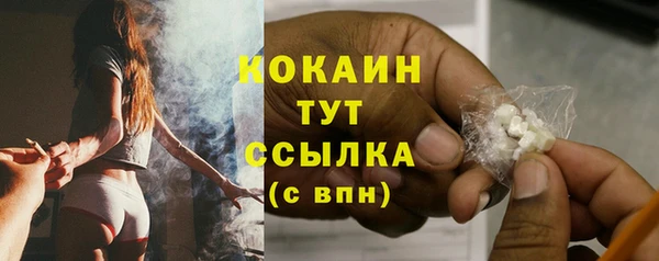 тгк Долгопрудный