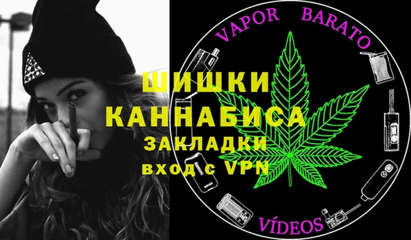 дживик Березники