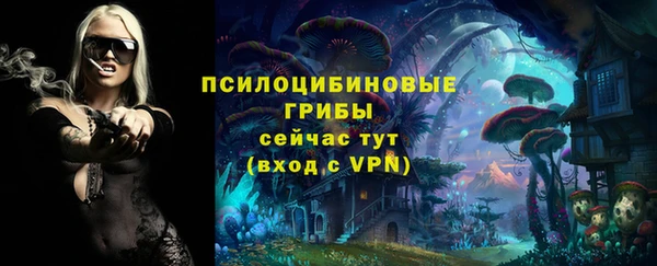 дживик Березники